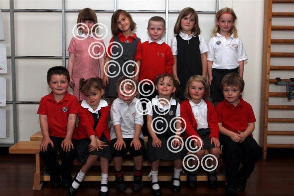 denbighshire free press