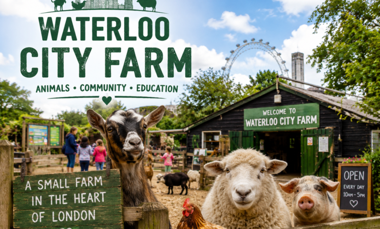 waterloo city farm