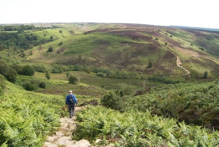 fylingdales moor